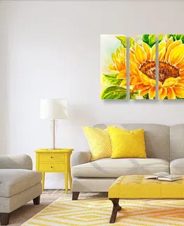 Obrazy kvetov 5-dielny obraz nádherná slnečnica