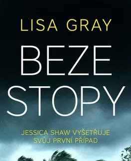 Detektívky, trilery, horory Beze stopy - Lisa Gray