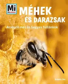 Príroda Méhek és darazsak – Mi micsoda - Alexandra Rigos,Sára Márialigeti
