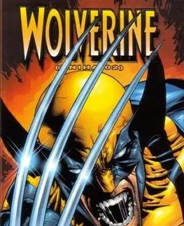 Komiksy Wolverine 2 - David Peter