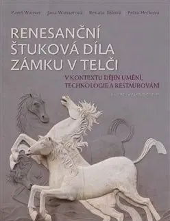 Historické pamiatky, hrady a zámky Renesanční štuková díla zámku v Telči - Kolektív autorov