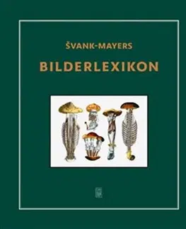 Maliarstvo, grafika Švank-mayers Bilderlexikon - Jan Švankmajer,Jan Švankmajer