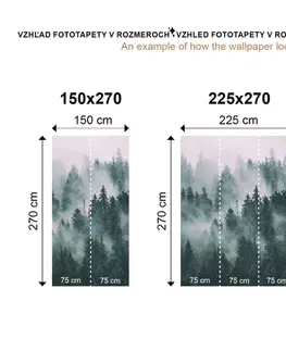 Samolepiace tapety Samolepiaca tapeta detailná mapa sveta v zelenej farbe