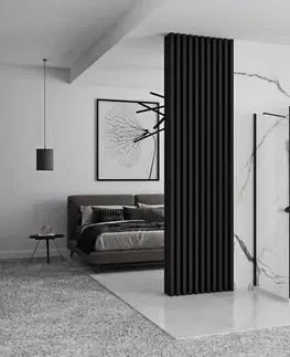 Sprchové dvere REA/S - Prístenná sprchová kabína Rapid Swing Black Dvere: 120 x Sprchová zástena: 90 KPL-009962