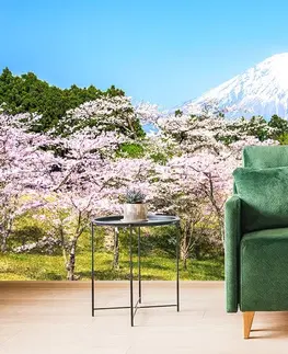 Samolepiace tapety Samolepiaca fototapeta sopka Fuji