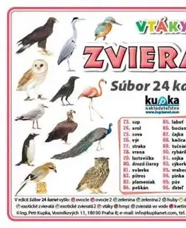 Učebnice pre ZŠ - ostatné Súbor 24 kariet - zvieratá (vtáky) - Petr Kupka