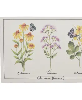 Prestieranie Prestieranie Summer flowers Echinacea, 45 x 30 cm, sada 4 ks