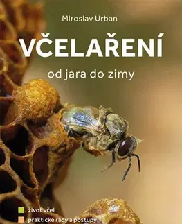 Hmyz Včelaření od jara do zimy - Urban Miroslav
