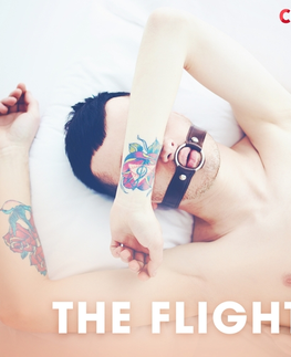 Erotická beletria Saga Egmont The Flight (EN)