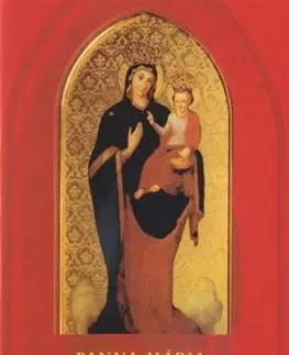 Kresťanstvo Panna Mária, Uzdravenie chorých 2.vydanie