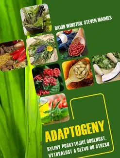 Alternatívna medicína - ostatné Adaptogeny - Maimes Steven,David Winston