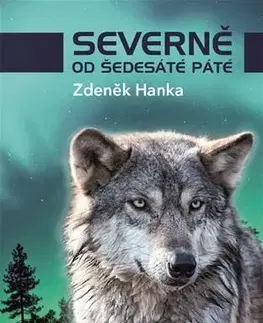 Česká beletria Severně od šedesáté páté - Zdeněk Hanka
