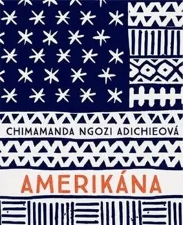 Svetová beletria Amerikána - Chimamanda Ngozi Adichie,Petr Štádler