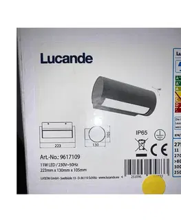 LED osvetlenie Lucande Lucande - LED Vonkajšie nástenné svietidlo BOHDAN LED/11W/230V IP65 