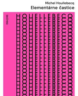 Svetová beletria Elementárne častice, 2. vydanie - Michel Houellebecq,Aňa Ostrihoňová