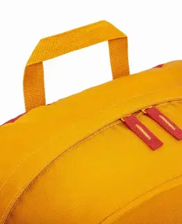 Batohy Riva Case 5561 ultra lehký batoh 24 l, zlatá