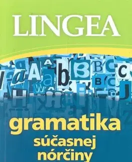 Gramatika a slovná zásoba Gramatika súčasnej nórčiny - s praktickými príkladmi