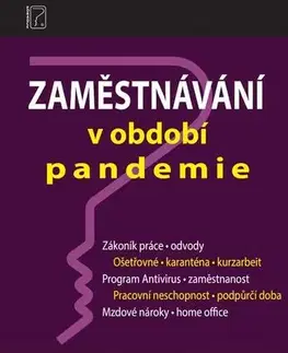 Dane, účtovníctvo Zaměstnávání v období pandemie - Ladislav Jouza Petr Taranda,Ivan Macháček