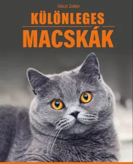 Mačky Különleges macskák - 35 macskafajta bemutatása - Zoltán Géczi