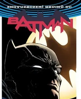 Komiksy Batman: Kniha 1. Já jsem Gotham (brož.) - Tom King,David Finch