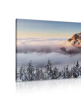 Obrazy prírody a krajiny Obraz Vel'ký Rozsutec v snehovej perine