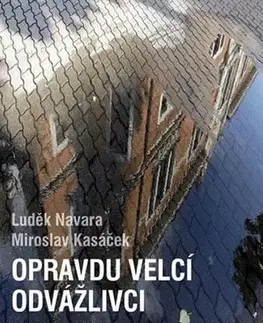 História - ostatné Příběhy třetího odboje - Luděk Navara,Miroslav Kasáček