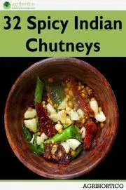 Kuchárky - ostatné 32 Spicy Indian Chutneys