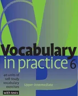 Gramatika a slovná zásoba Vocabulary in Practice 6