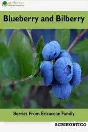 Hobby - ostatné Blueberry and Bilberry