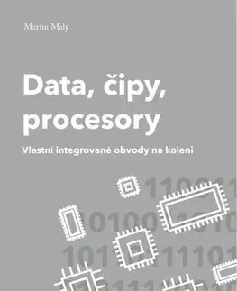 Počítačová literatúra - ostatné Data, čipy, procesory - Martin Malý