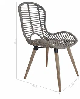 Jedálenské stoličky a kreslá Jedálenská stolička 4 ks ratan / drevo Dekorhome Hnedá