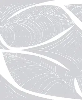 Tapety príroda Tapeta pôvabná štruktúra listu