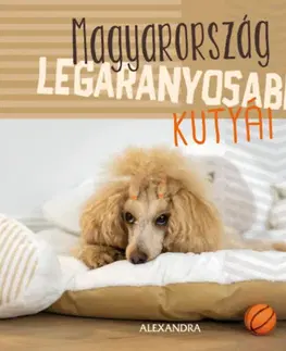 Citáty, výroky, aforizmy, príslovia, porekadlá Magyarország legaranyosabb kutyái - 365 gondolat