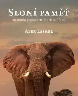 Svetová beletria Sloní paměť - Alex Lasker,Viktorie Košnarová
