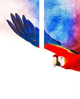 Obrazy zvierat 5-dielny obraz let papagája