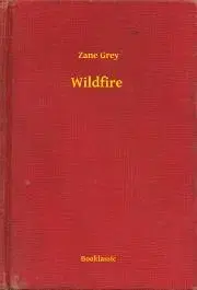 Svetová beletria Wildfire - Zane Grey