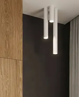 Bodové svetlá Euluna Euluna Thalassa stropné svietidlo 1 svetlo biele výška 40 cm