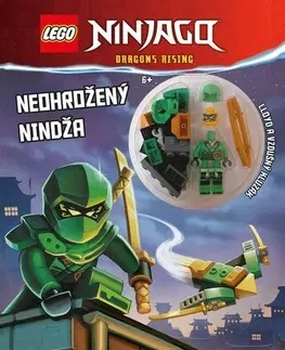 Pre deti a mládež - ostatné LEGO® Ninjago Neohrožený nindža - Kolektív autorov,Katarína Belejová