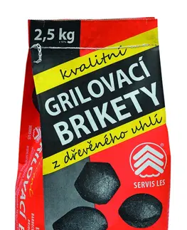 Grily a príslušenstvo Grilovacie brikety 2,5 kg