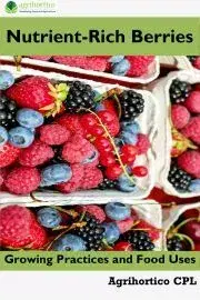 Hobby - ostatné Nutrient-Rich Berries
