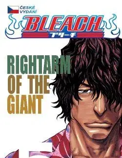 Manga Bleach 5: Rightarm of the Giant - Kubo Tite