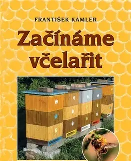 Hmyz Začínáme včelařit - František Kamler
