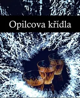 Poézia Opilcova křídla - DP Film