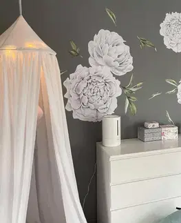 Nálepky na stenu Samolepiace tapety kvetov - Pivonie biele