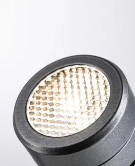 Vonkajšie svietidlo s bodcom do zeme Paulmann Paulmann Radon LED svietidlo s hrotom 230V, IP65