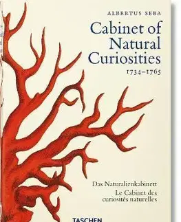 Biológia, fauna a flóra Seba. Cabinet of Natural Curiosities. 40th Ed. - Kolektív autorov