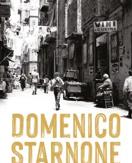 Svetová beletria Střepy na via Gemito - Domenico Starnone