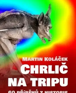 Česká beletria Chrlič na tripu - Martin Koláček