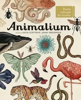 Príroda Animalium - Kolektív autorov