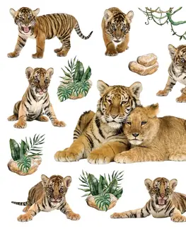 Samolepky na stenu Samolepiaca dekorácia Tigers, 30 x 30 cm